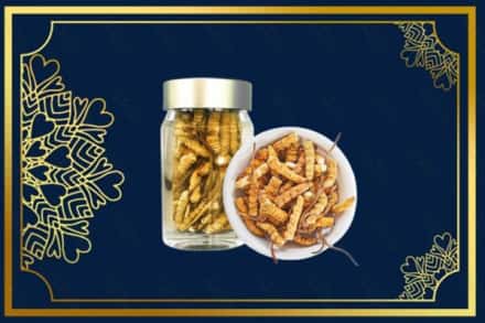 原阳县上门回收散虫草